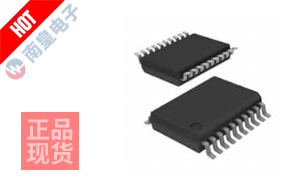 ADS1255IDBR