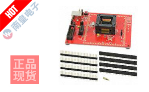 MSP-TS430PZ100AUSB